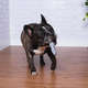 Brinquedo Pet Games Mordedor Totem Soft - Prata