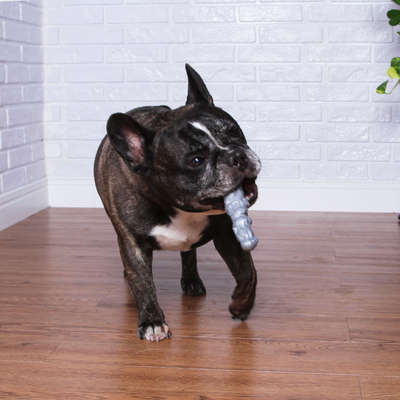 Brinquedo Pet Games Mordedor Totem Soft - Prata