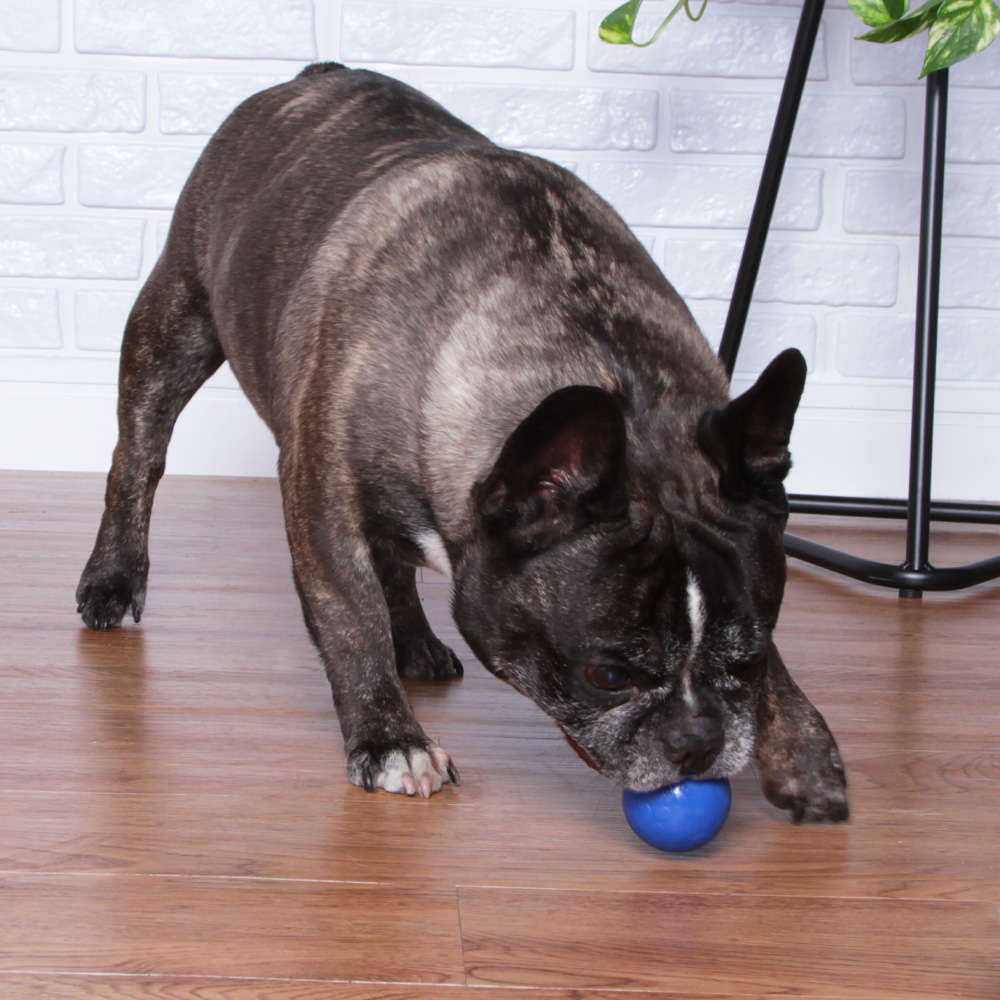 Brinquedo LCM Bola Maciça Perfumada Azul - Tam. M