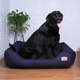 Cama Pickorruchos King Gigante
