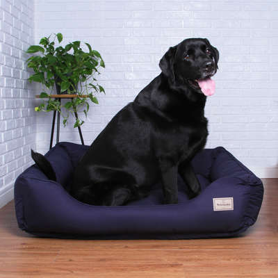 Cama Pickorruchos King Gigante