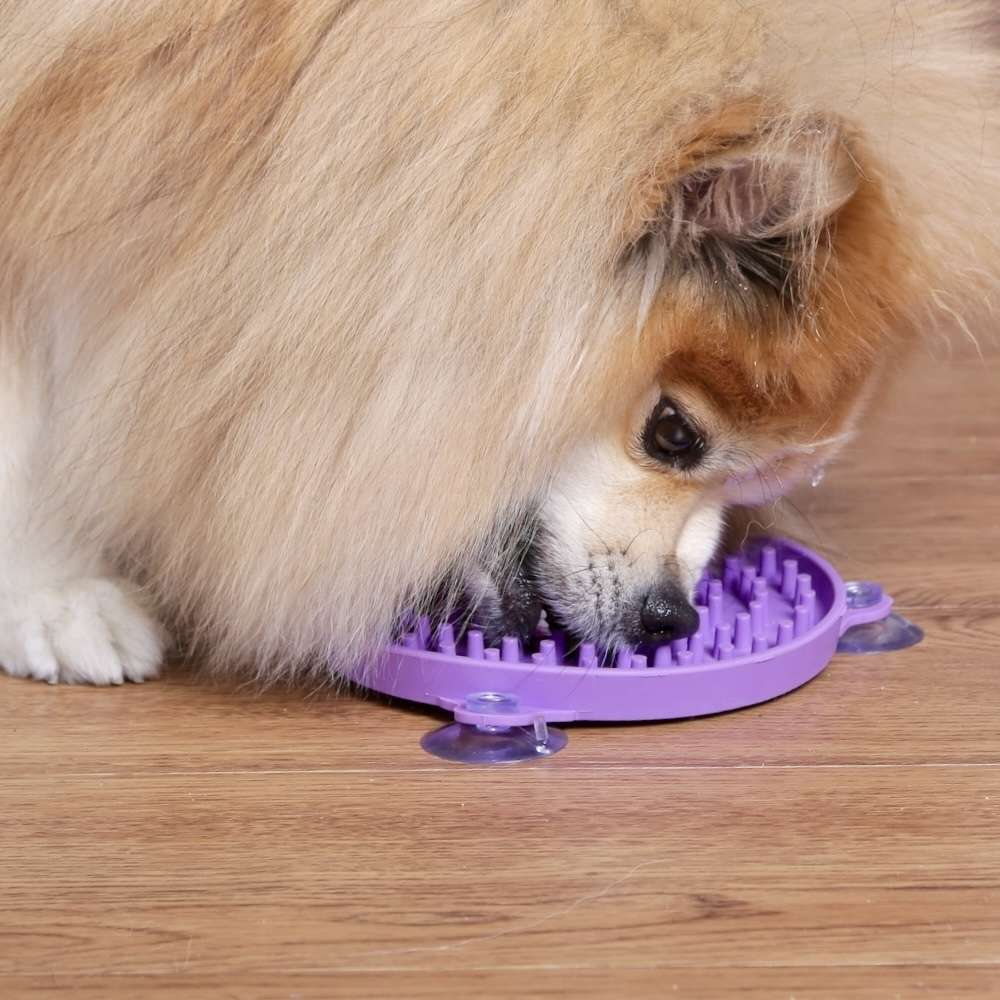 Comedouro Buddy Lambe para Cães e Gatos - Tam. Único
