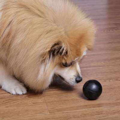 Brinquedo LCM Bola Maciça Extra Forte