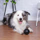 Brinquedo LCM Bola Maciça Extra Forte