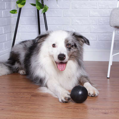Brinquedo LCM Bola Maciça Extra Forte