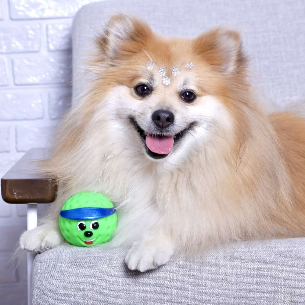 Brinquedo de Vinil Bola de Golf Verde para Cães - Tam. Único