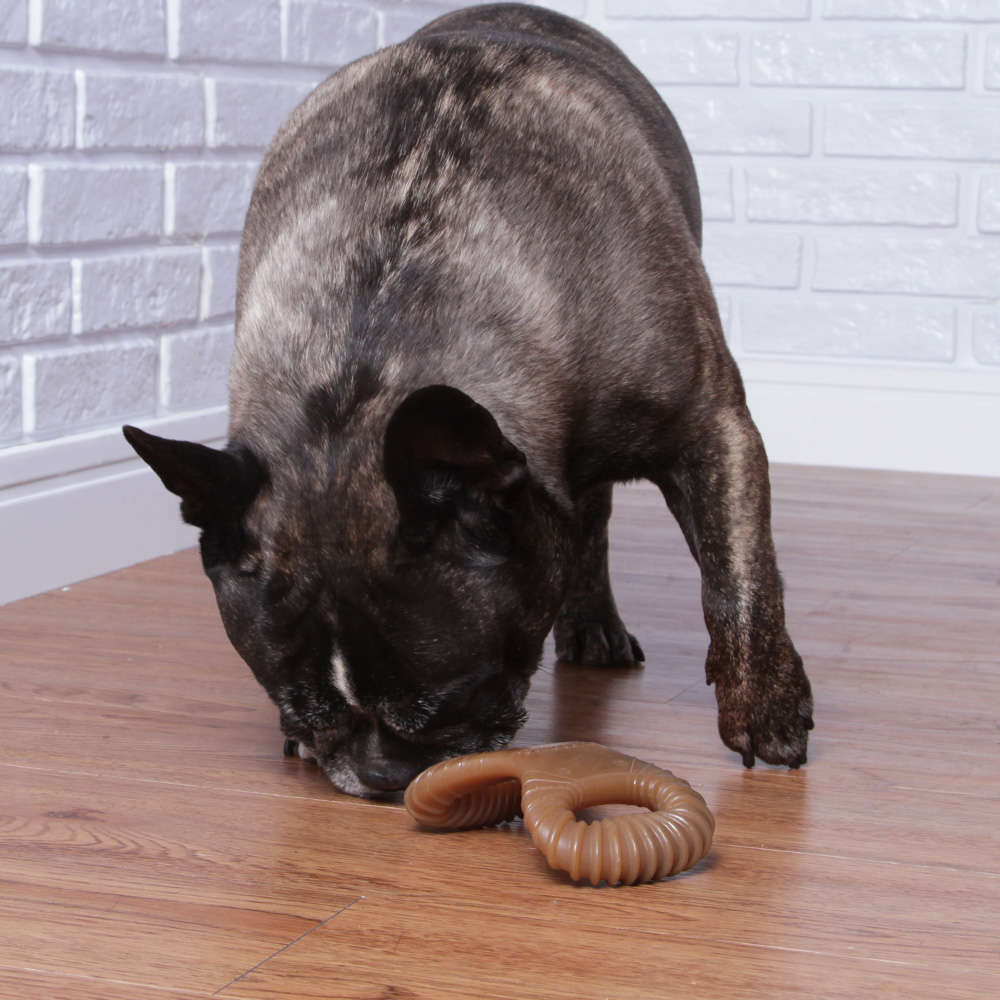 Brinquedo Benebone Dental Chew Amendoim (881300) - Tam. P