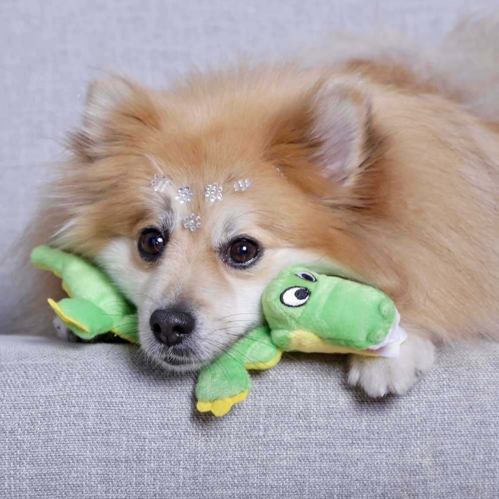 Brinquedo Plush Jacaré Multi Som para Cães - Tam. Único
