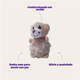 Brinquedo Pelúcia Ursinho para Cães
