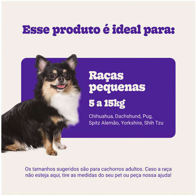 Brinquedo Pelúcia Ursinho para Cães