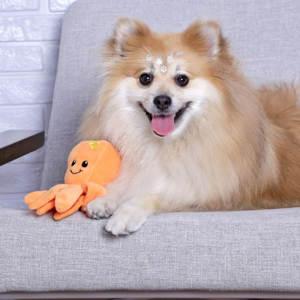 Brinquedo Pelúcia Polvo Feliz para Cães - Tam. Único