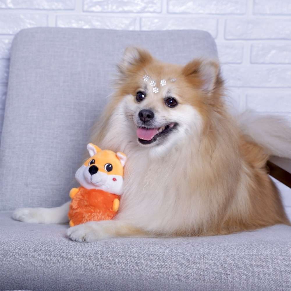 Brinquedo Pelúcia Raposinha para Cães - Tam. Único