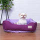Cama Pickorruchos Deluxe Lilás