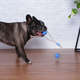 Brinquedo Duo Ball Divercão Azul