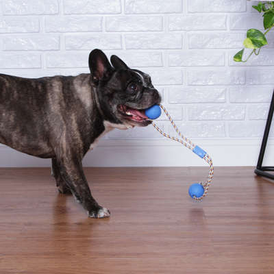 Brinquedo Duo Ball Divercão Azul