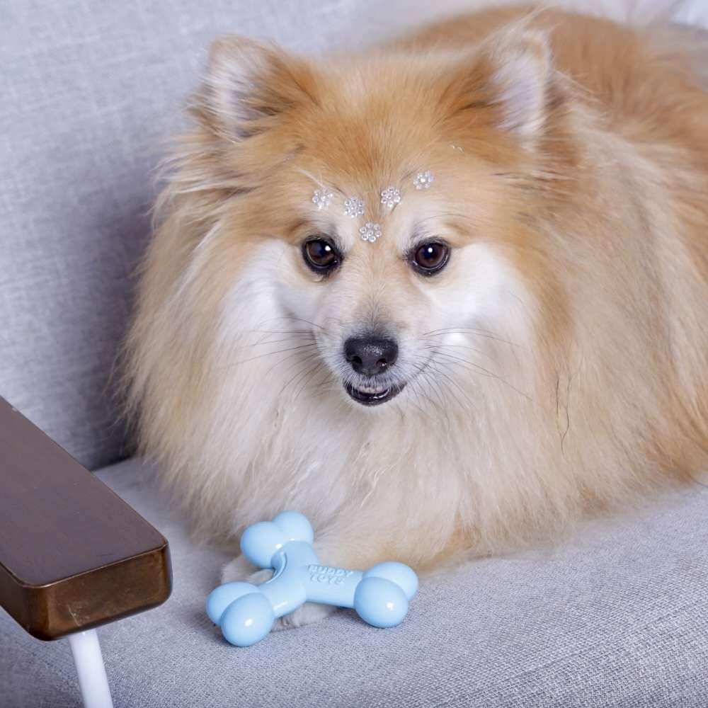 Brinquedo Buddy Toys Ossinho Azul para Filhotes - Tam. Único