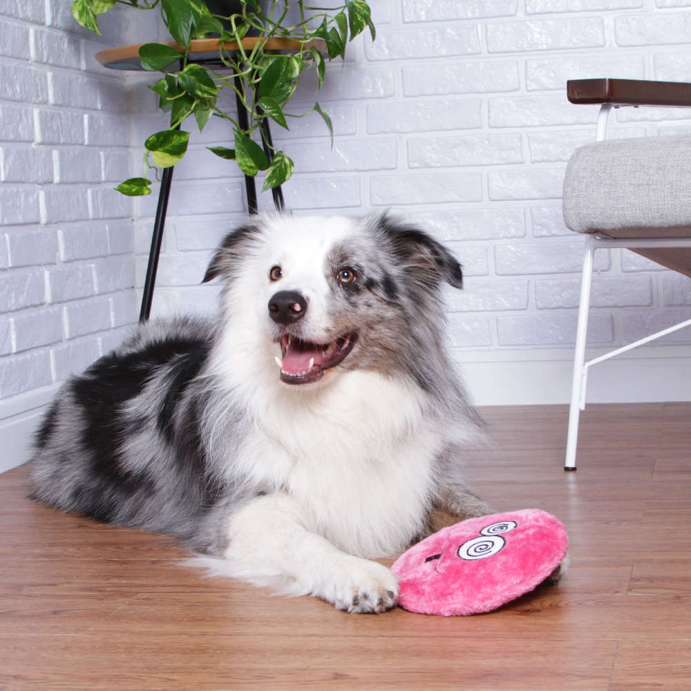 Brinquedo Chalesco Pelúcia Emoticon Crazy para Cães - Tam. Único