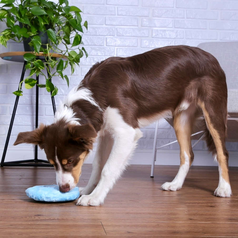 Brinquedo Chalesco Pelúcia Emoticon Uau para Cães - Tam. Único