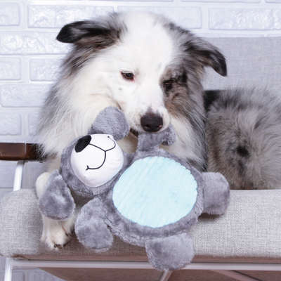 Brinquedo Chalesco Pelúcia Dog Donuts para Cães