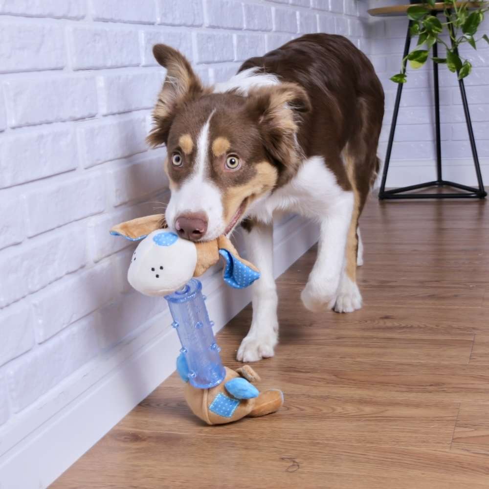 Brinquedo Chalesco Pelúcia Giradog para Cães - Tam. Único