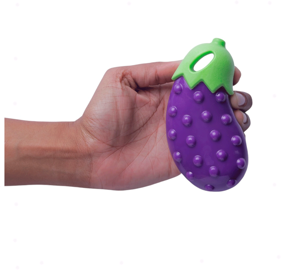 Brinquedo Mordedor Veg Sound Berinjela - Tam. Único