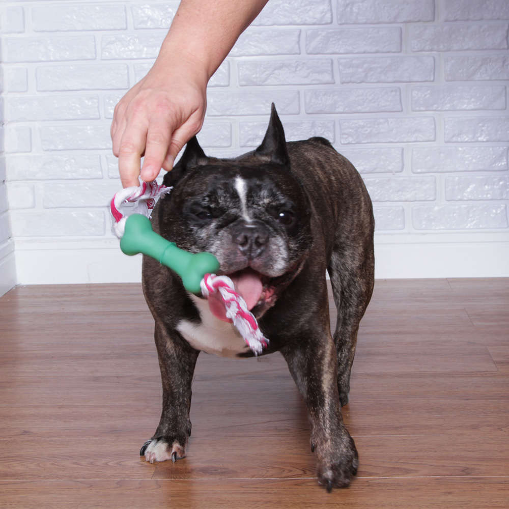 Brinquedo Osso com Corda para Cães - Tam. Único