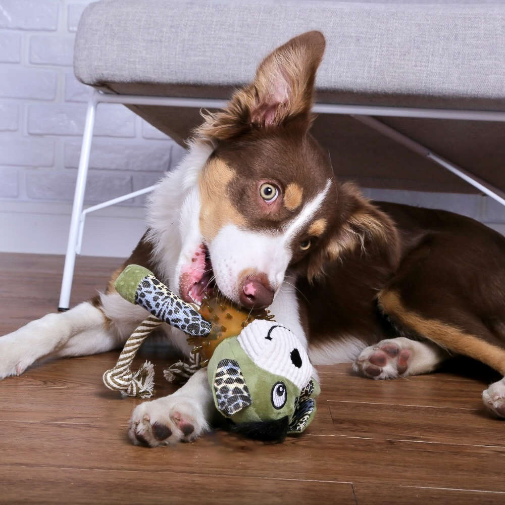 Brinquedo Chalesco Pelúcia Cãoperninha para Cães - Tam. Único