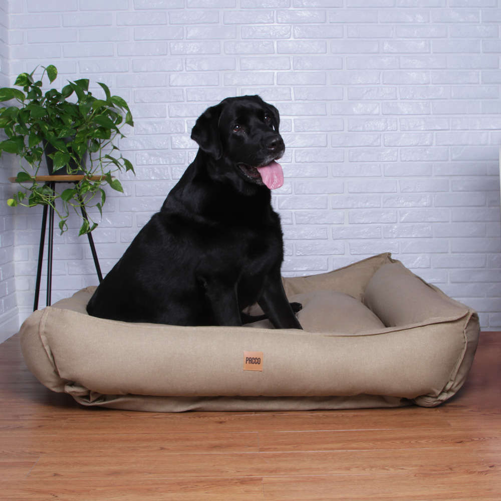 Cama Pacco Puppy King Ecotec Lisa Bege para Cães - Tam. Único