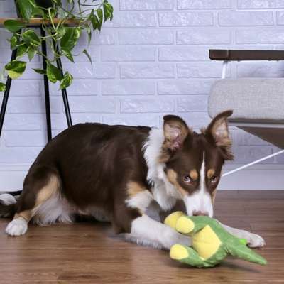 Brinquedo Chalesco Pelúcia Petdragon para Cães