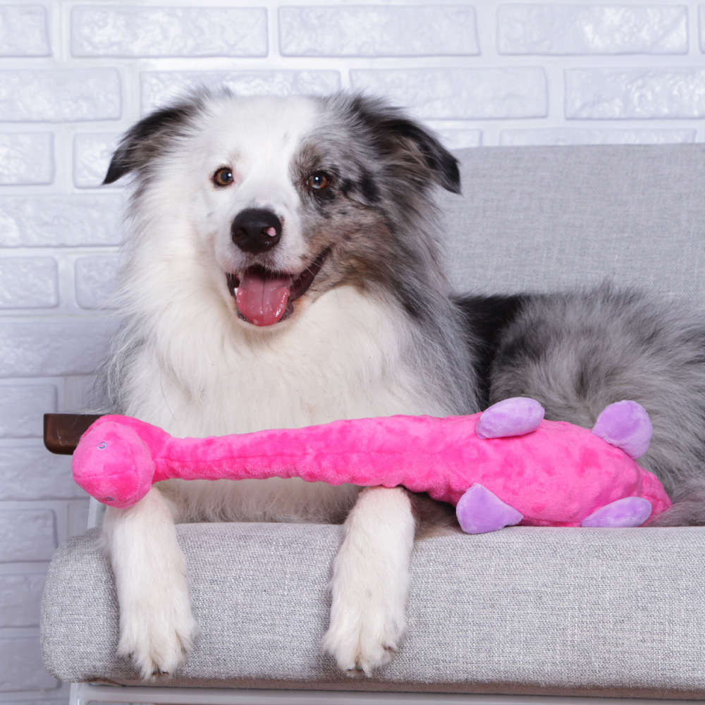 Brinquedo Chalesco Pelúcia Dinopet para Cães - Tam. Único