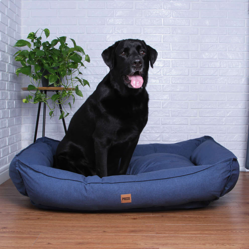 Cama Pacco Puppy King Ecotec Lisa Azul para Cães - Tam. Único