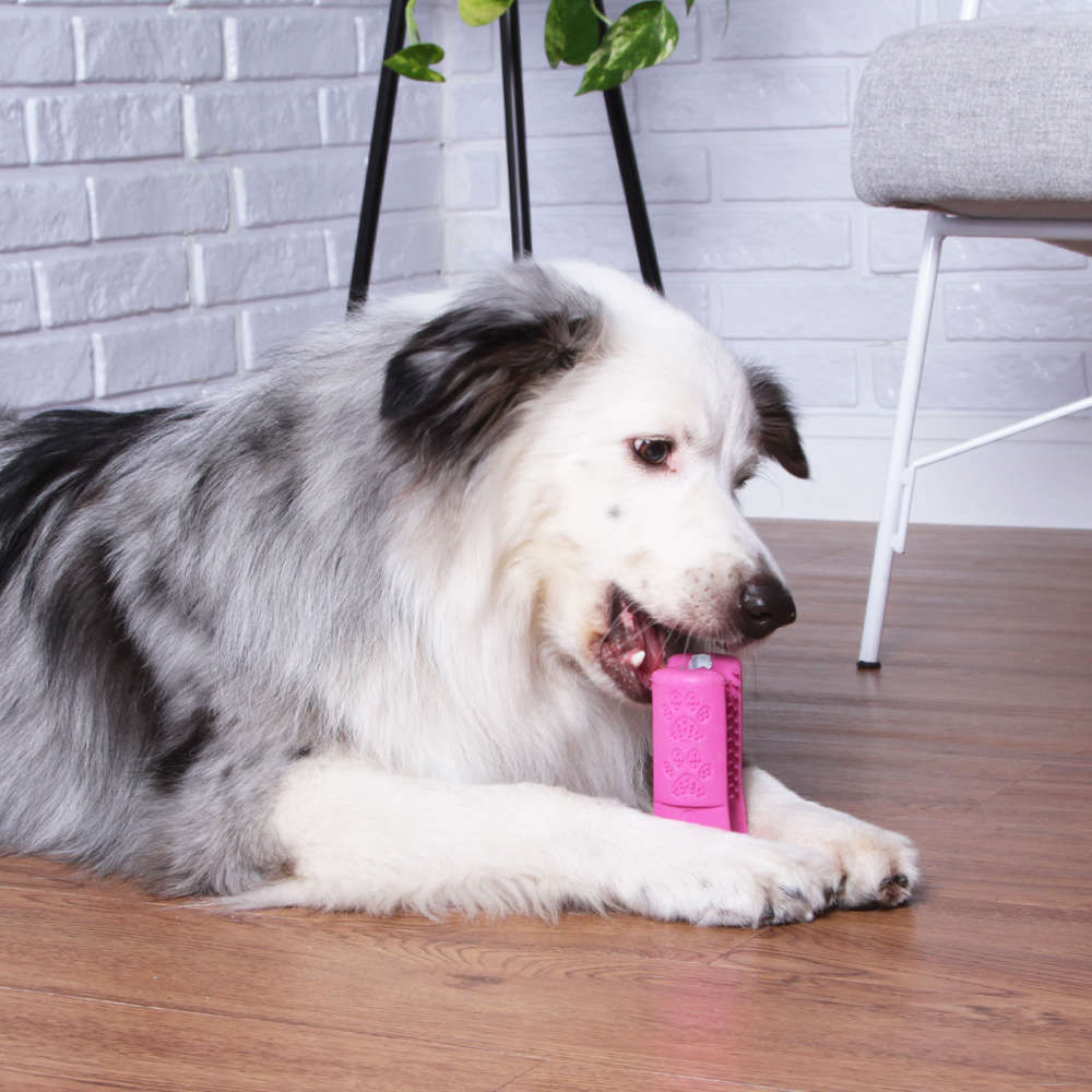 Escova Dental Truqys Pets Rosa para Cães - Tam. M