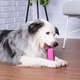 Escova Dental Truqys Pets Rosa para Cães