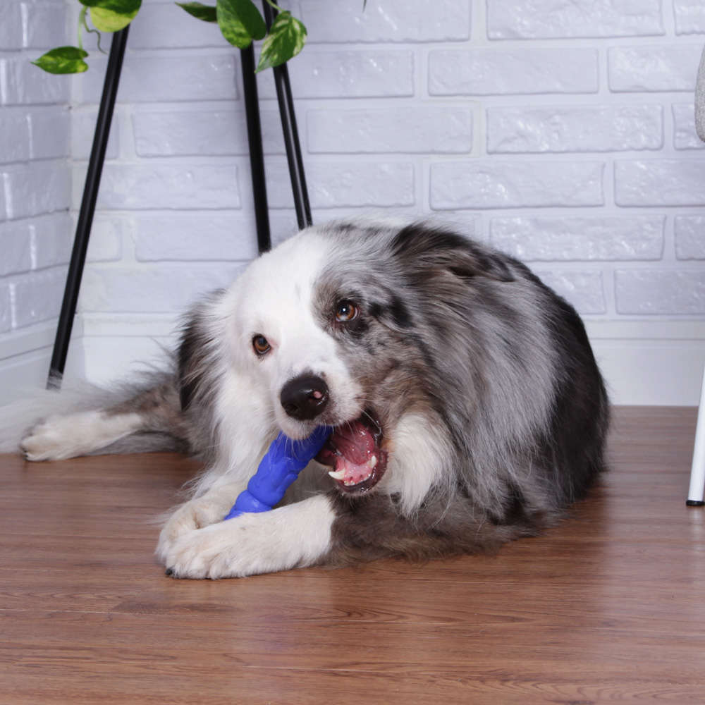 Brinquedo Pet Games Mordedor Totem Nylon Azul - Tam. M