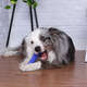 Brinquedo Pet Games Mordedor Totem Nylon Azul - Tam. M