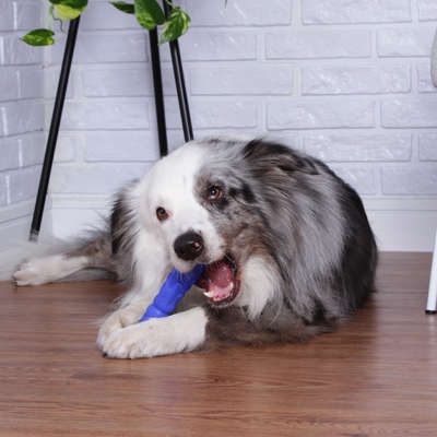 Brinquedo Pet Games Mordedor Totem Nylon Azul - Tam. M