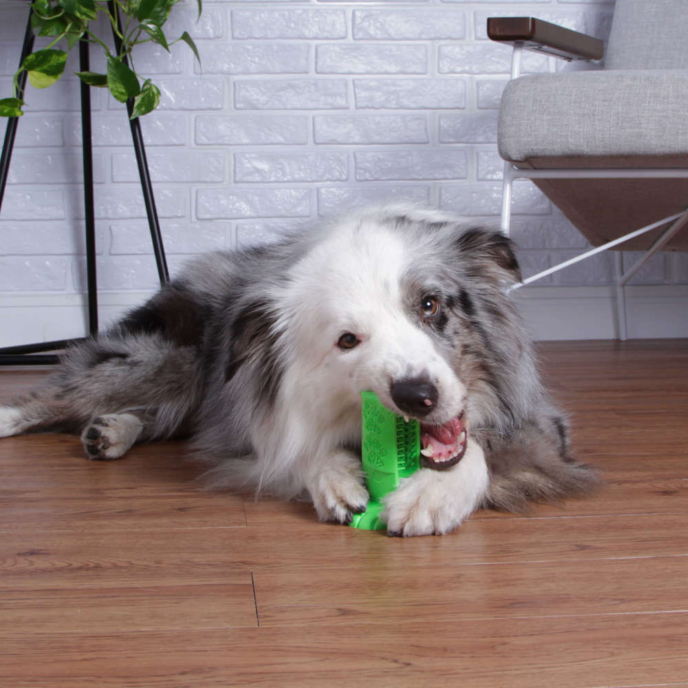 Escova Dental Truqys Pets Verde para Cães - Tam. M