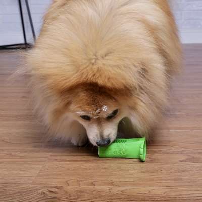 Escova Dental Truqys Pets Verde para Cães