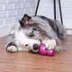 Brinquedo Mordedor Pet Games Bonequinha Rosa - Tam. M