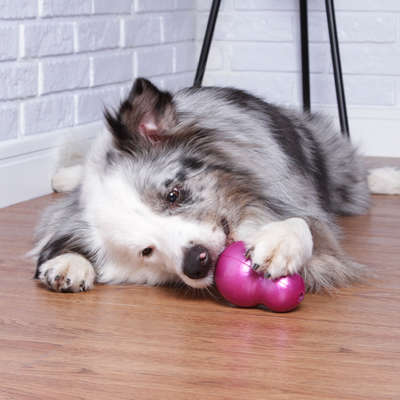 Brinquedo Mordedor Pet Games Bonequinha Rosa - Tam. M