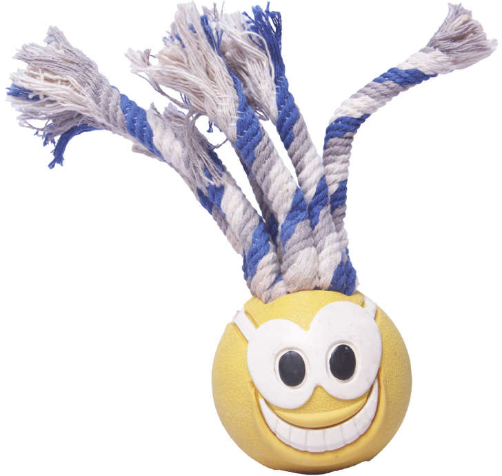 Brinquedo Bola Ultra Fanatic Ball para Cães - Tam. P
