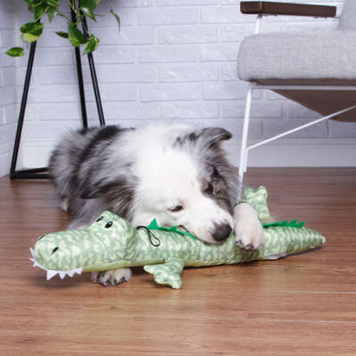 Brinquedo Jambo Mordedor Pelúcia Jacaré Long Verde