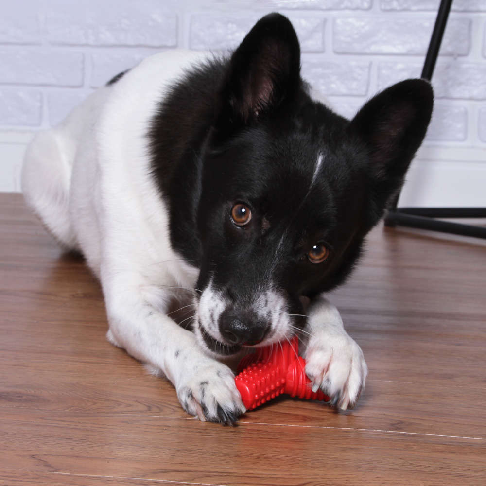 Brinquedo Mordedor Pet Games 4 Dogs Nylon Vermelho - Tam. P