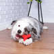 Brinquedo Mordedor Pet Games 4 Dogs Nylon Vermelho