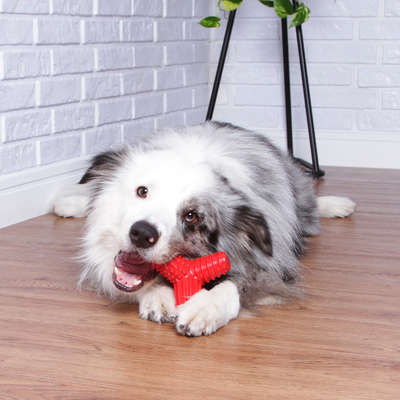 Brinquedo Mordedor Pet Games 4 Dogs Nylon Vermelho