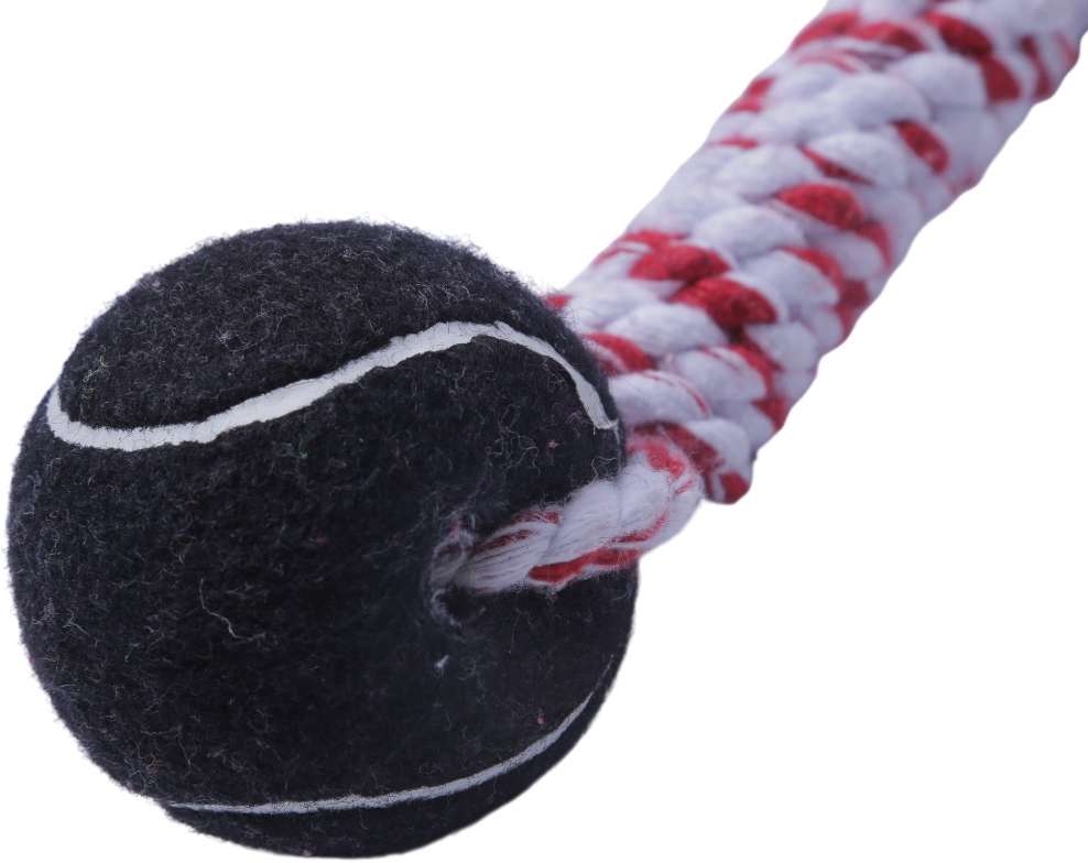 Brinquedo Halteres com Bola de Tênis Extraforte para Cães - Tam. Único
