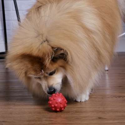 Brinquedo Duraball Solapa para Cães