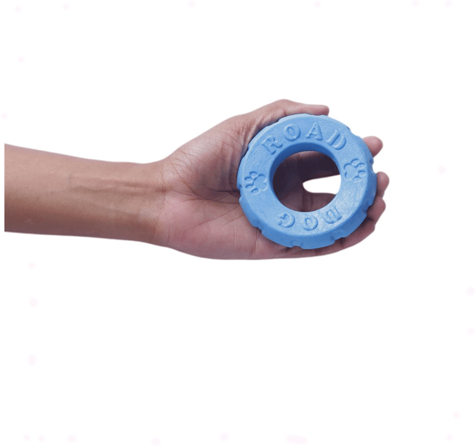 Brinquedo Pet Play Pneu Azul - Tam. Único