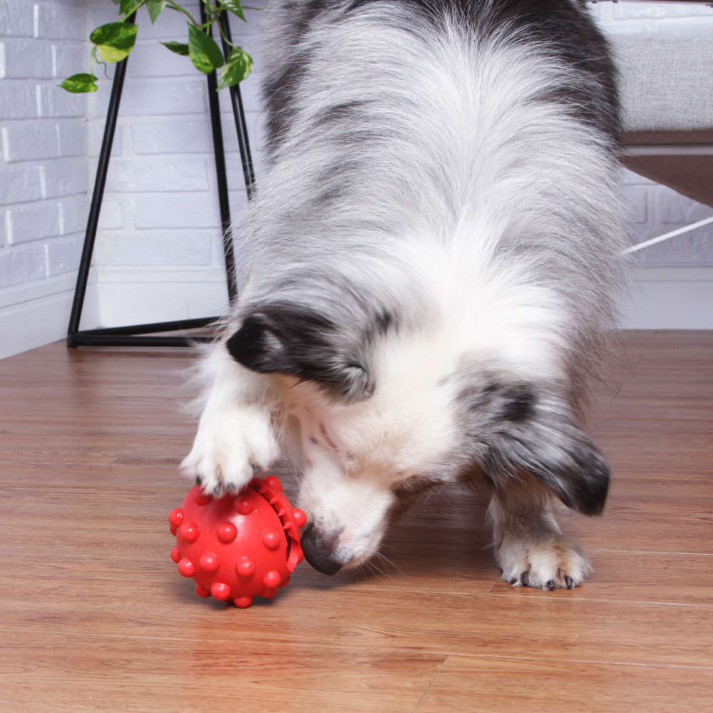 Brinquedo Duraball Solapa para Cães - Tam. M