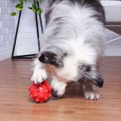 Brinquedo Duraball Solapa para Cães